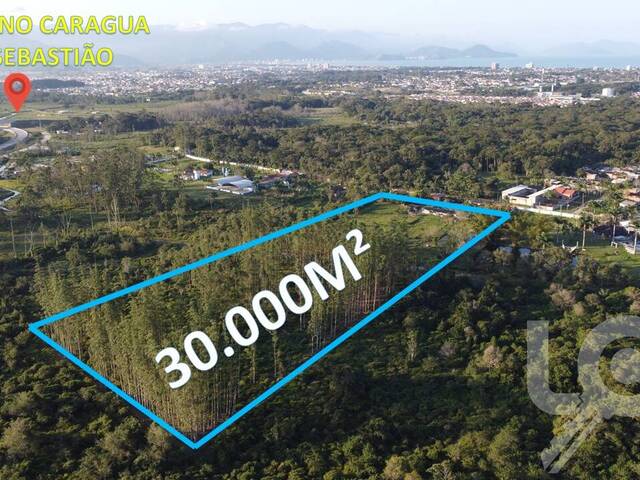 Área para Venda em Caraguatatuba - 5